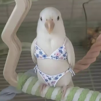 𝓒𝓱𝓮𝓷𝓡𝓻𝔂𝓛